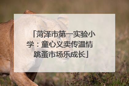 菏泽市第一实验小学：童心义卖传温情 跳蚤市场乐成长